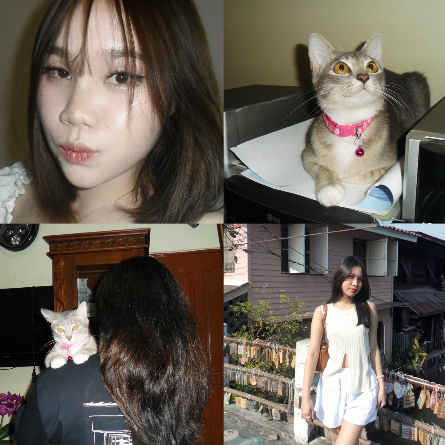 Samsung PL20 Digital Camera