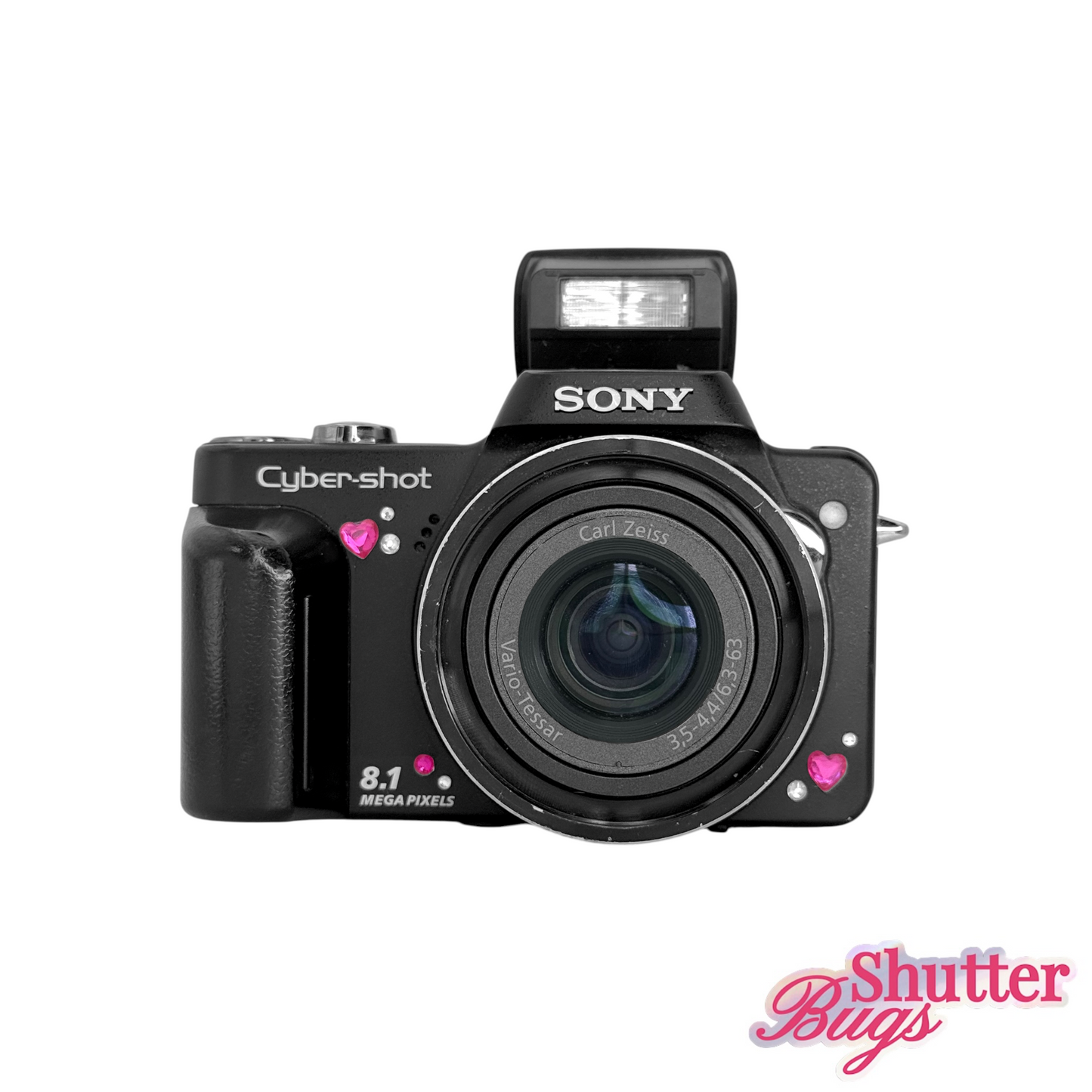 Sony Cybershot H10 Digital Camera