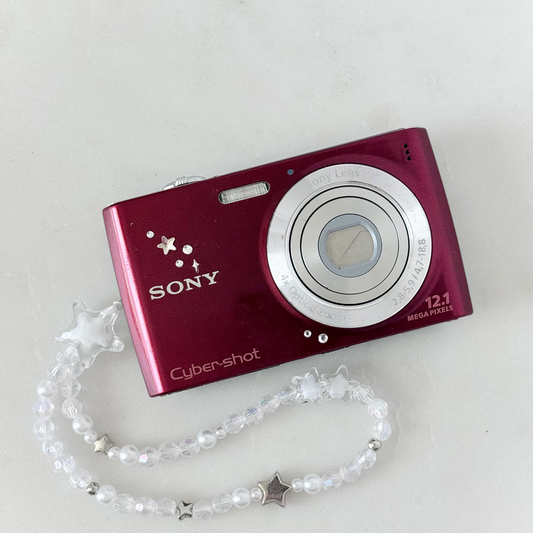 Sony Cybershot W510 Digital Camera