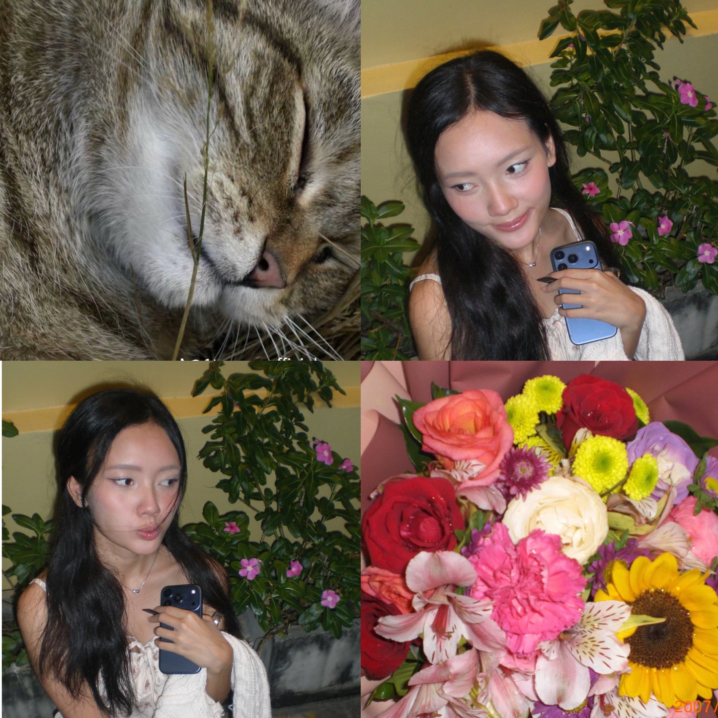 Casio Exilim Z77 Digital Camera